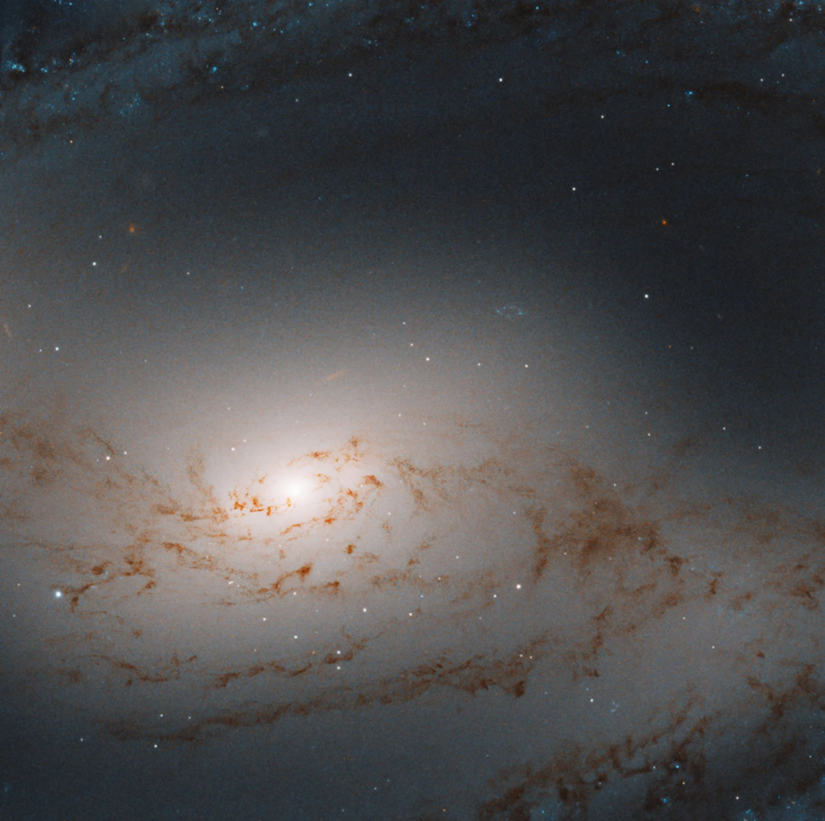  (NASA/Hubble via SWNS) 