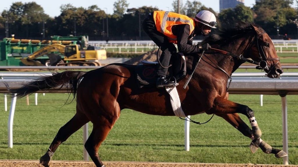 Connections Of Phileas Fogg Hope Tender Foot Resolves Before BC Classic 