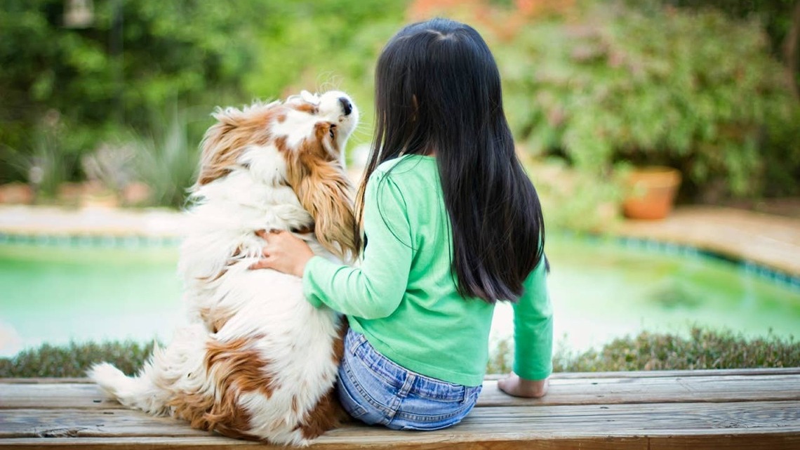 Experts Say This Nearly 150-Year-Old Dog Breed Is Exceptionally Devoted 