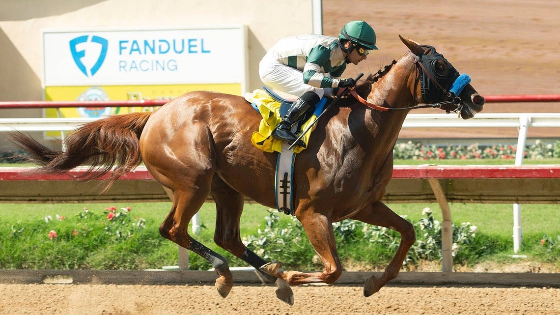 Bob Baffert Trainee Rabeeba Puts Unbeaten Record On The Line In Torrey Pines 