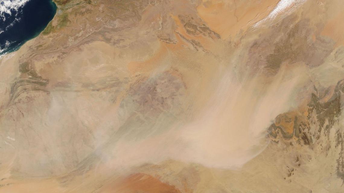 49 people dead in Sahara Desert after truck breaks down 