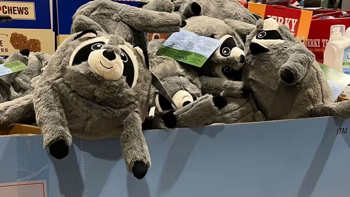 Costco joins viral fun with Jimothy dog toy. How to get it