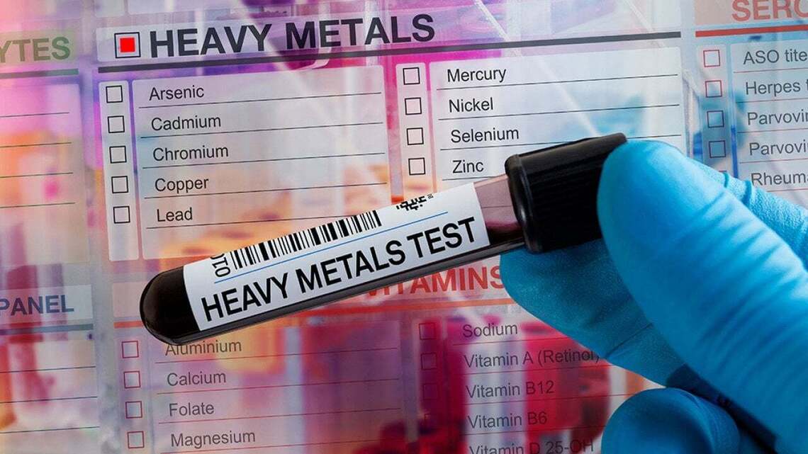 Does your body absorb heavy metals? Bioavailability explained 