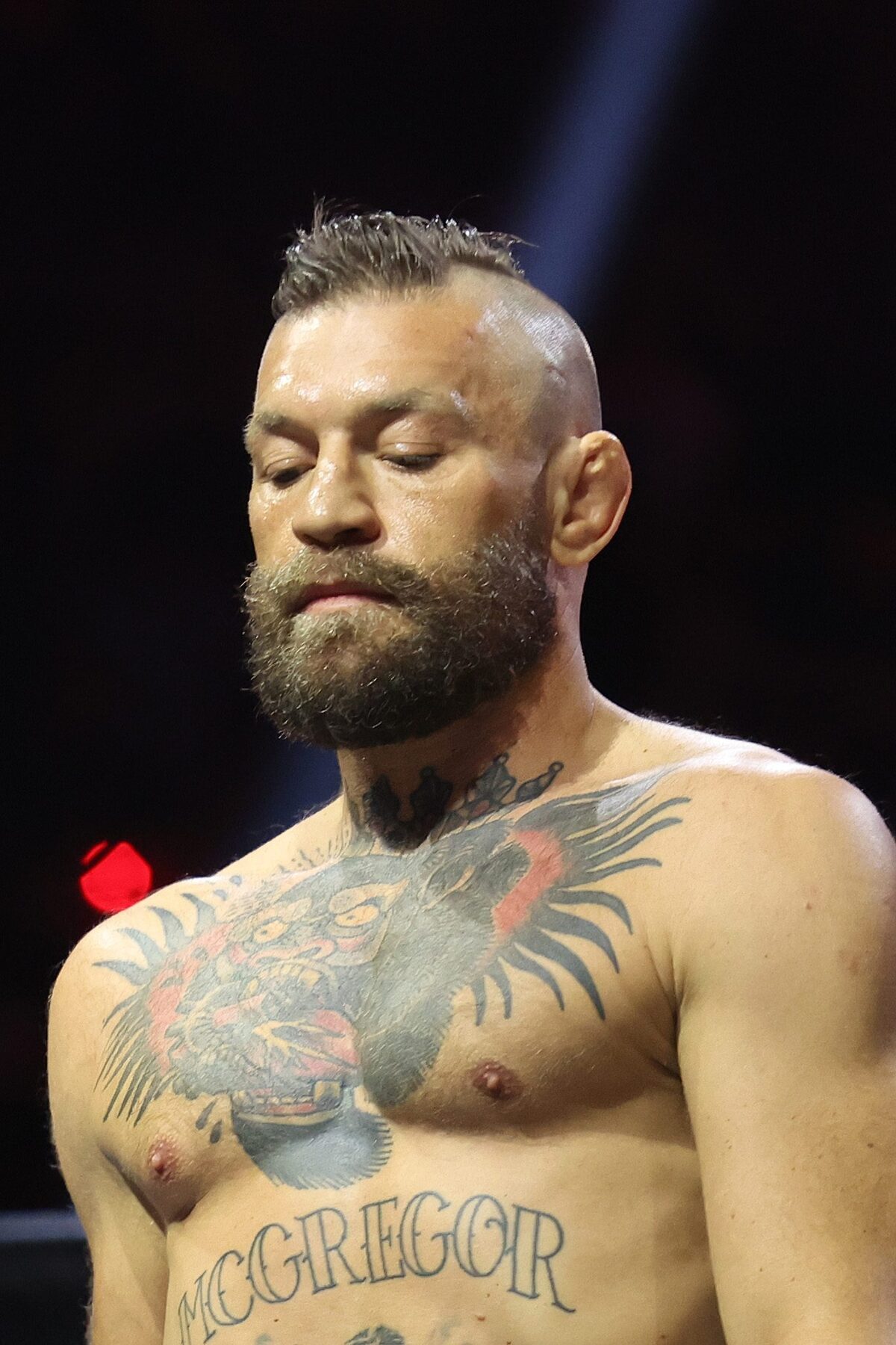 Conor McGregor during UFC 329.