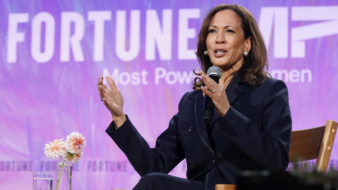 Commentary: Kamala Harris is polling well, which signifies nothing 