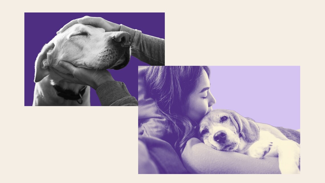 Millennials and Gen Z are ‘Gentle Parenting' Their Dogs-It's a Problem   
