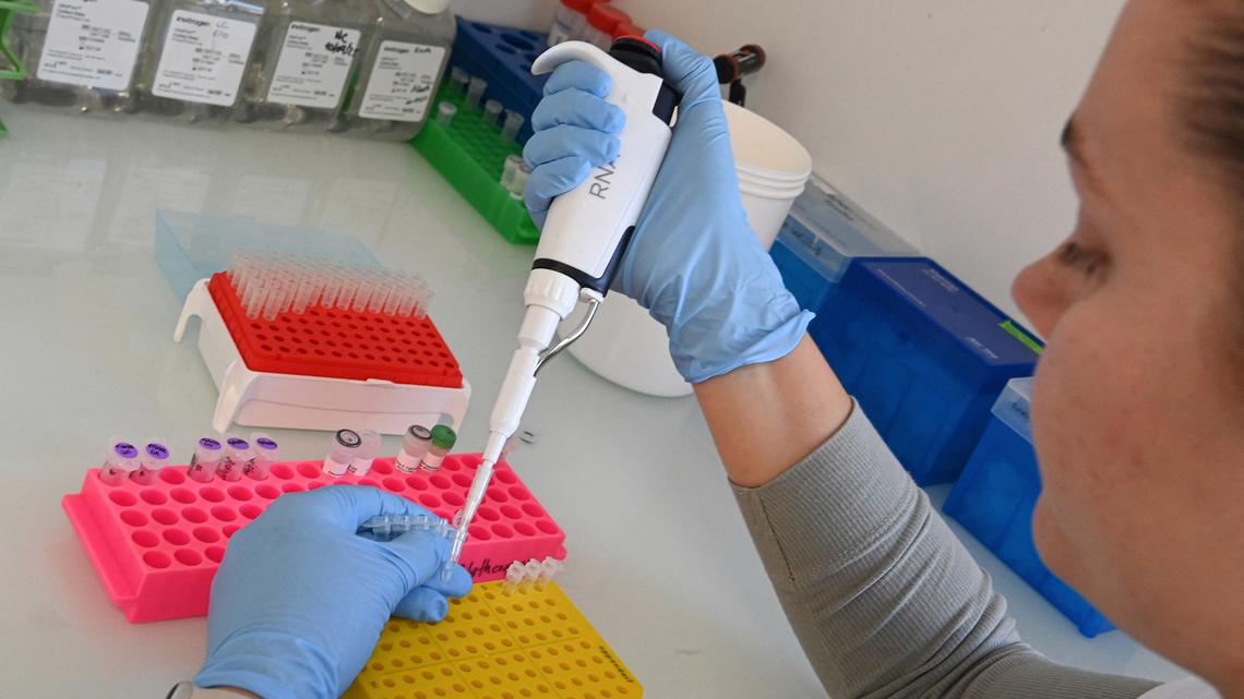 A researcher carries out the assembly of a transcription reaction that generates messenger RNA from synthetic DNA at the Inserm ART-RNAm laboratory of the CHR in Orleans, France, on Nov. 18, 2025.