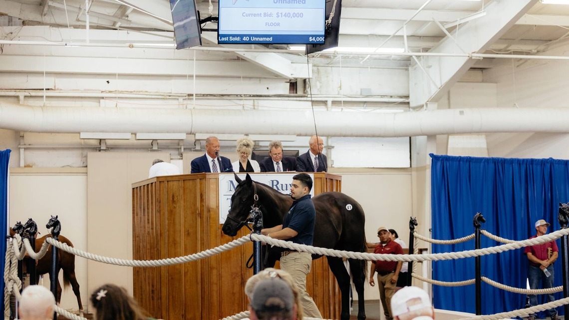 Texas-Bred Gunite Colt Tops 2026 Texas Summer Yearling Sale