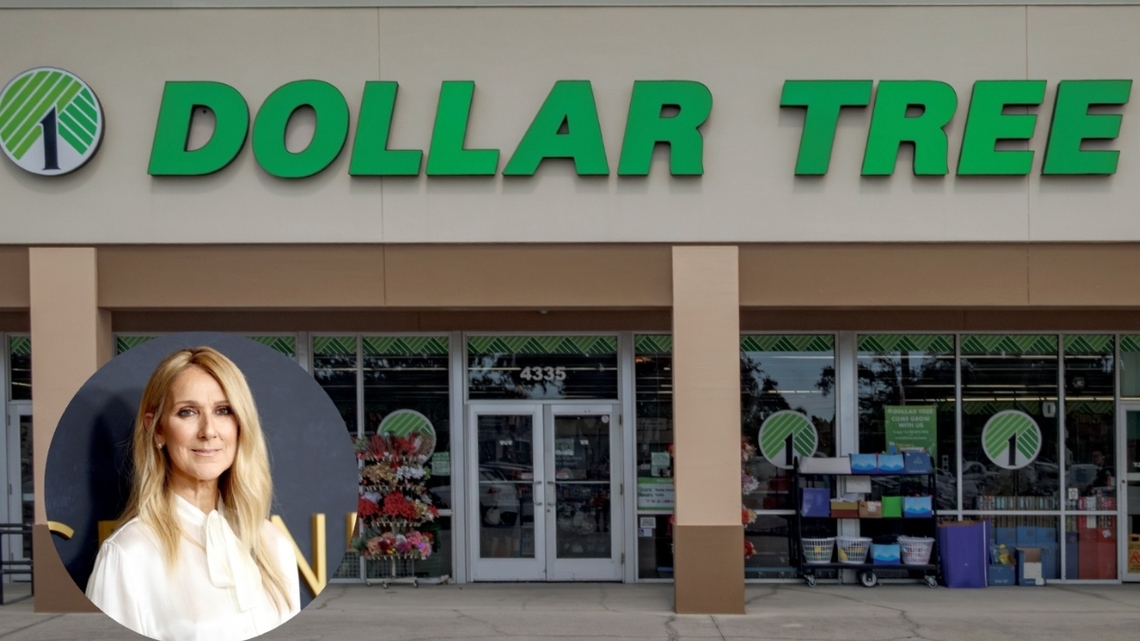 Get the Viral Céline Dion Aesthetic on a Dollar Tree Budget!