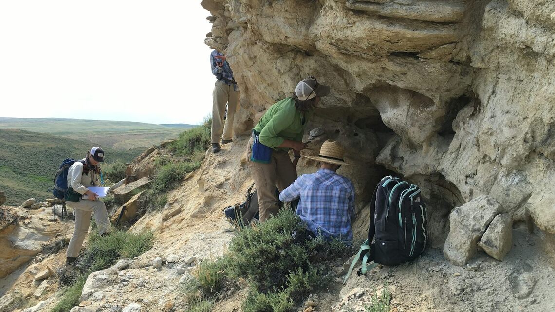 Ancient forests took 100,000 years to recover from the last global warming period similar to today – Wyoming fossils reveal what happened