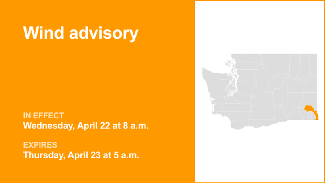 unitedrobots photography