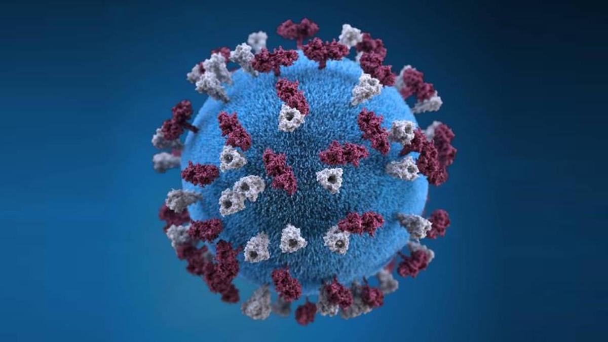 A 3D model shows a visualization of the measles virus. 