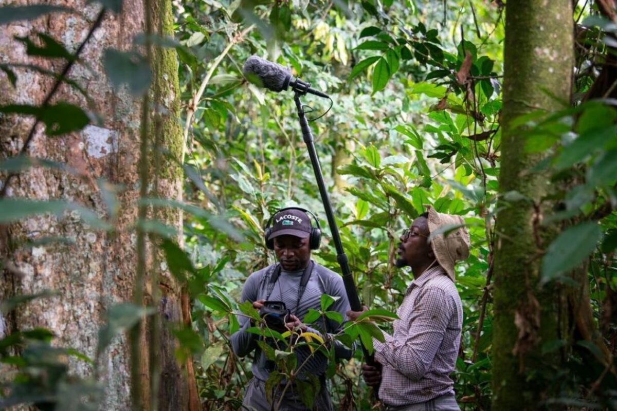  Junior Amboko (left) and Mardoché B. Koko working in the field in the Lomami National Park. (Junior Amboko / Florida Atlantic University via SWNS) 