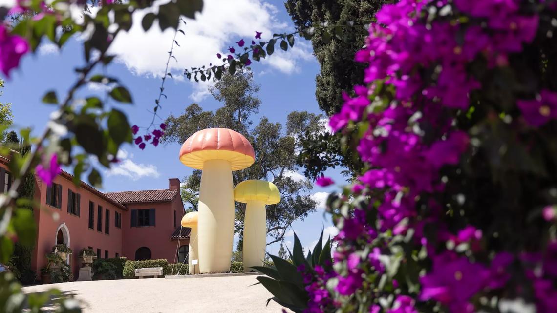I ate at Noma LA for $1,500. Was it worth it? 