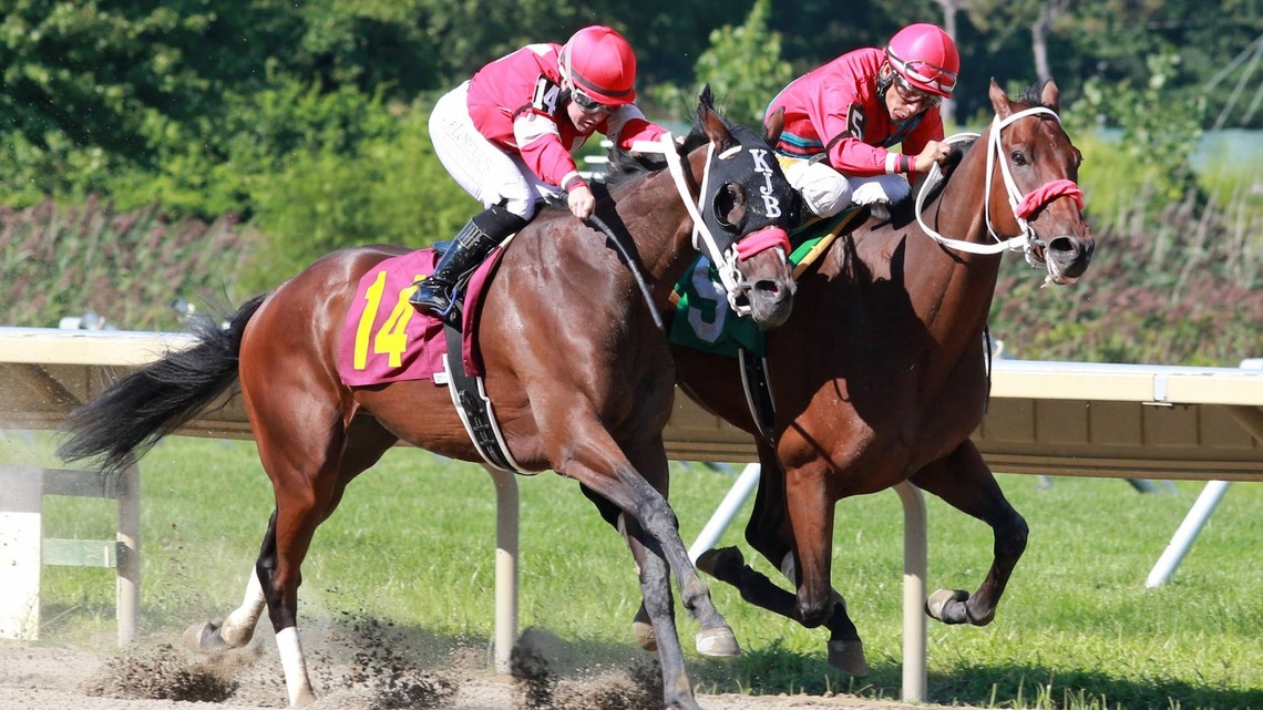New Jersey-Bred Half-Brothers Battle Down To The Wire At Monmouth Park 