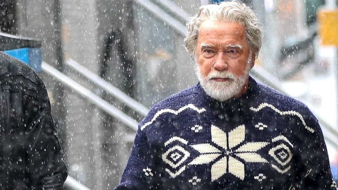 Arnold Schwarzenegger's Long, Wavy Gray Hair Has Fans Doing a Double Take 