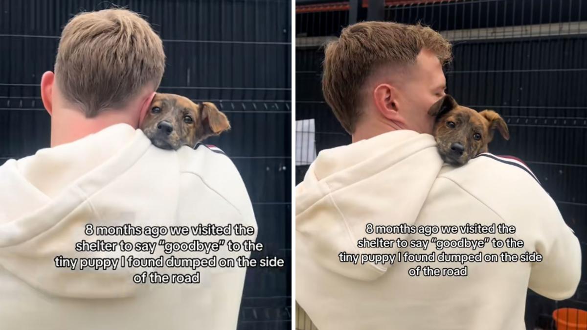 Screenshots from a May 18 TikTok video of a rescuer holding a puppy at the animal shelter, saying his last "goodbye" before adoption. 