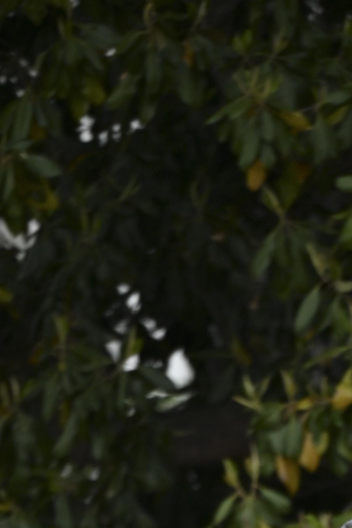 President Donald Trump, center, walks with King Charles III and Queen Camilla through the Rose Garden during an arrival ceremony at the White House in Washington, on Tuesday, April 28, 2026. (Kenny Holston/The New York Times)