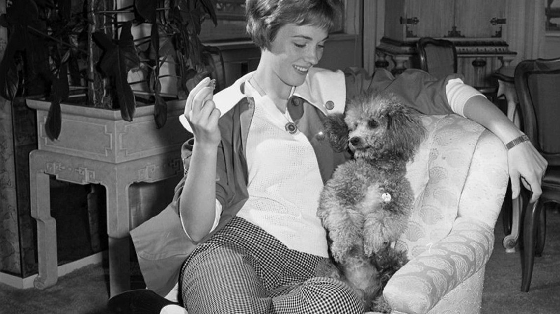 Julie Andrews' New Book Was Inspired by a Real Poodle Who Could Match the Pitch of Her Vocal Scales 