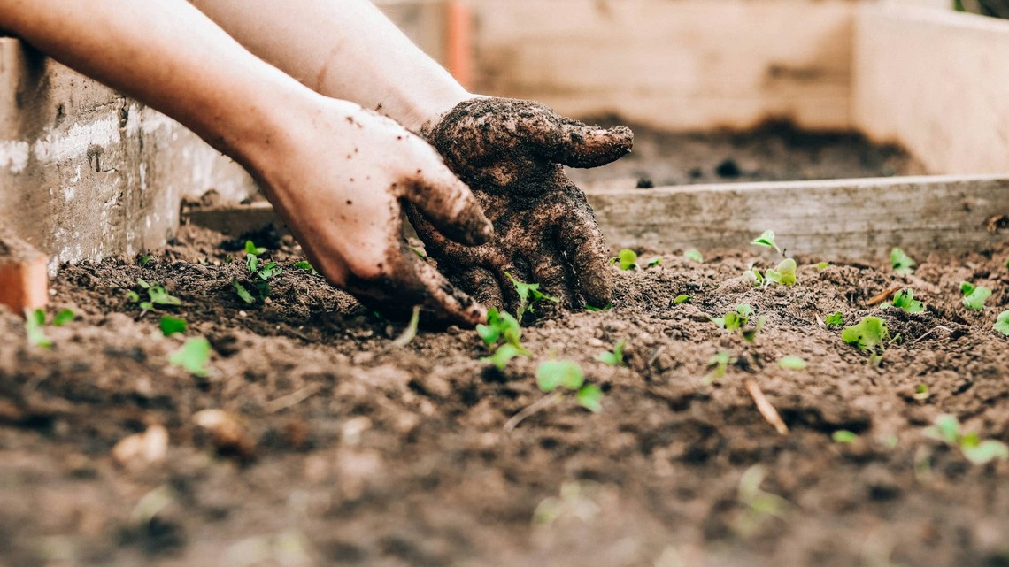 This Simple Planting List Could Keep Your Garden Growing Longer This Fall 