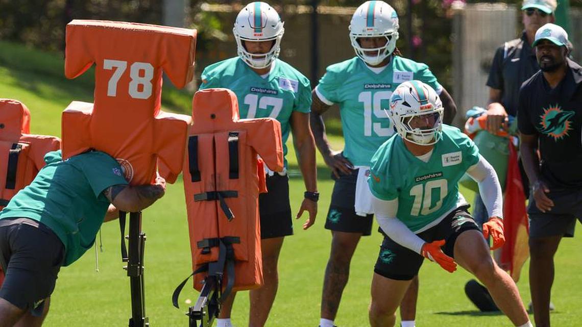 Dolphins Open OTA Observations: Louis Shows Off Unique Skill