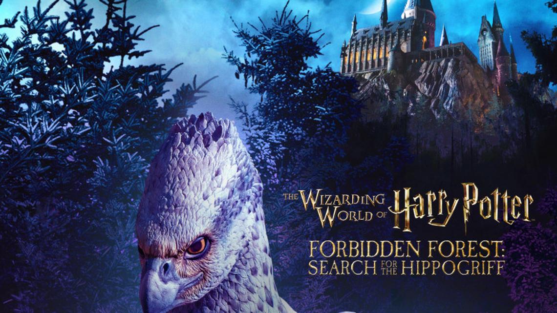 Universal's New 'Harry Potter' Experience Goes Darker Than Ever