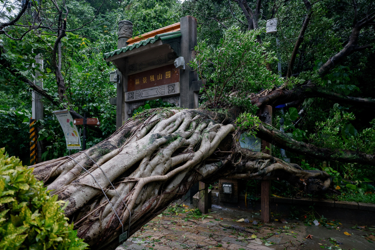 Typhoon Champi sweeps past Taiwan, one dead and 500 injured | Charlotte ...