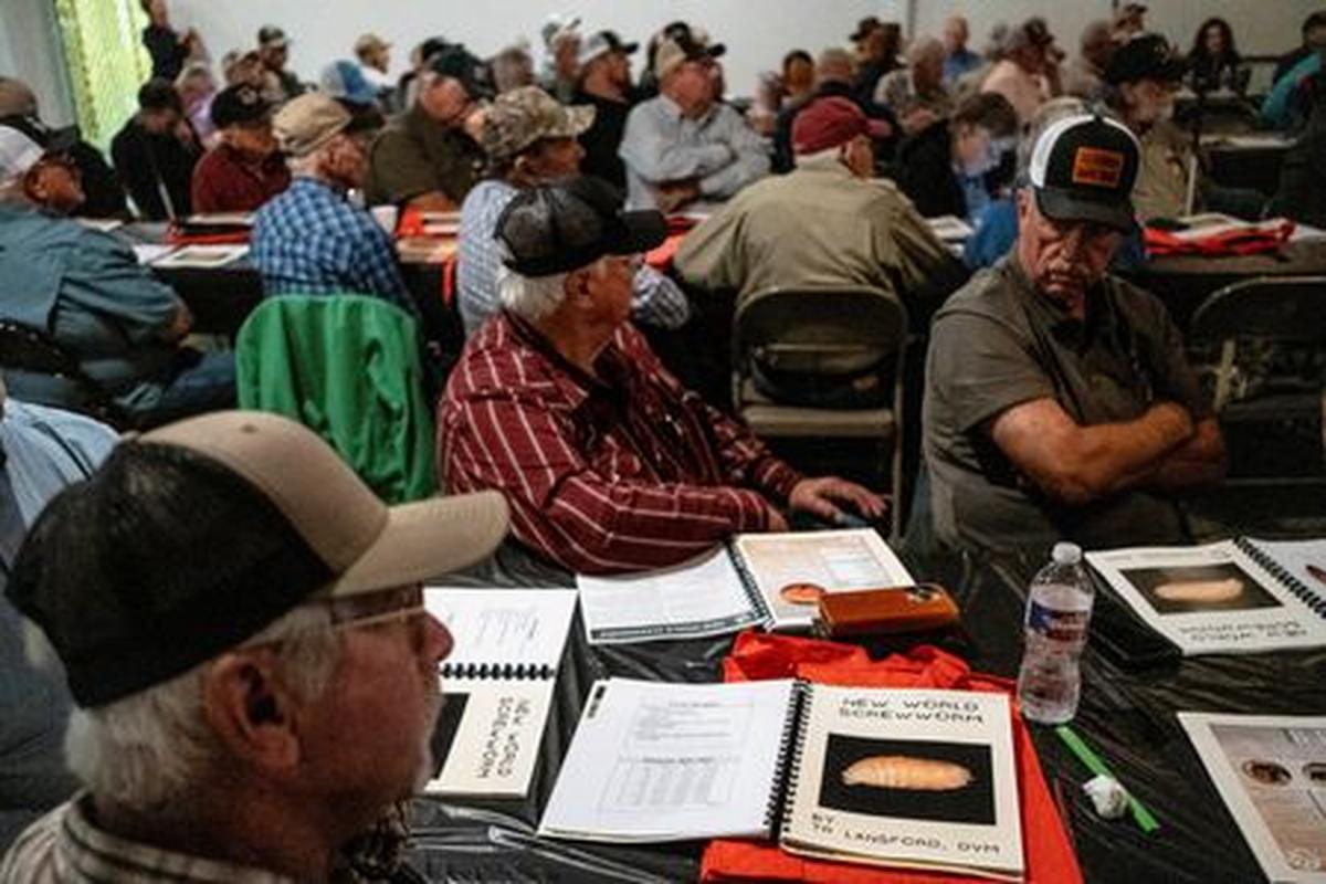 Cattle ranchers attend a presentation on the threat of the New World Screwworm during the Fayette County Cow/Calf Clinic and Trade Show in La Grange, Texas, U.S., May 1, 2026.  REUTERS/Joel Angel Juarez
