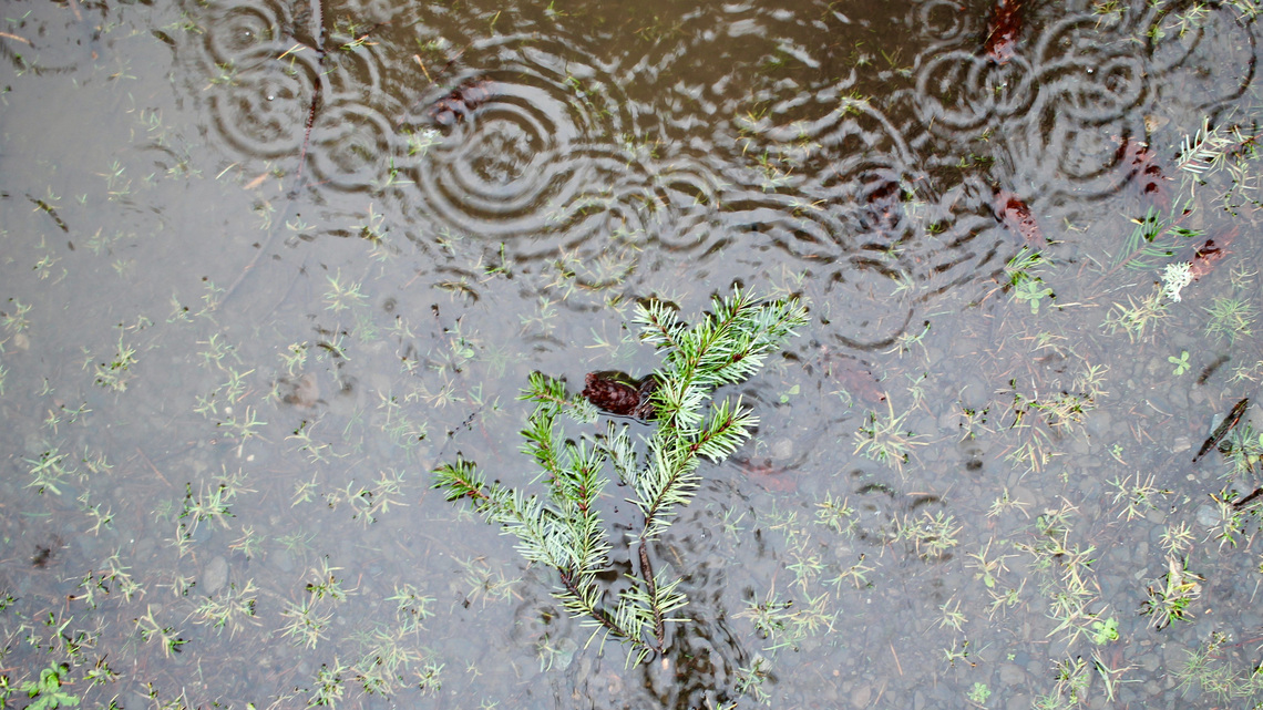 Rain and wind headed to Oregon as September stays wetter than normal