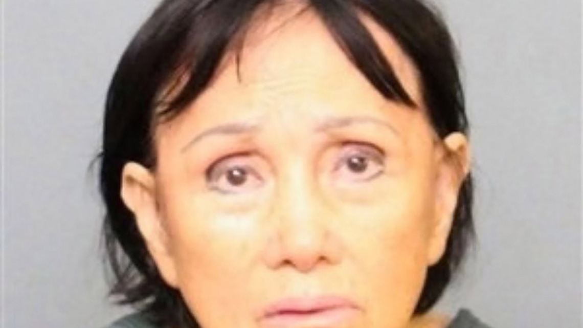 Anaheim woman charged with felony animal cruelty after allegedly killing puppy by driving her van over it 