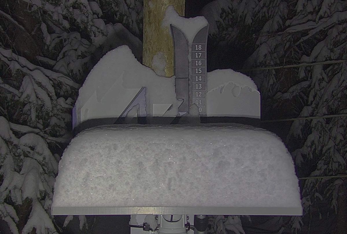  A sight for sore eyes. Winter's back!