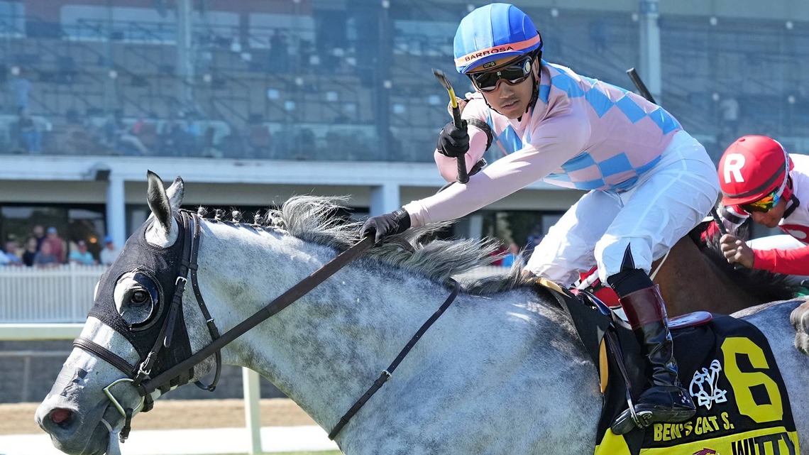 Half-Siblings Witty, Somnium Entered In Stakes At Laurel On Saturday 