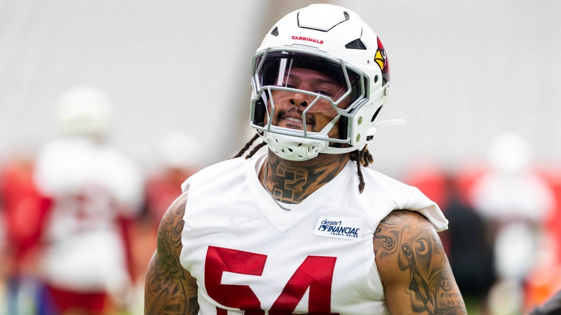 NFL Free Agent Suspended Three Games for Unknown Reason