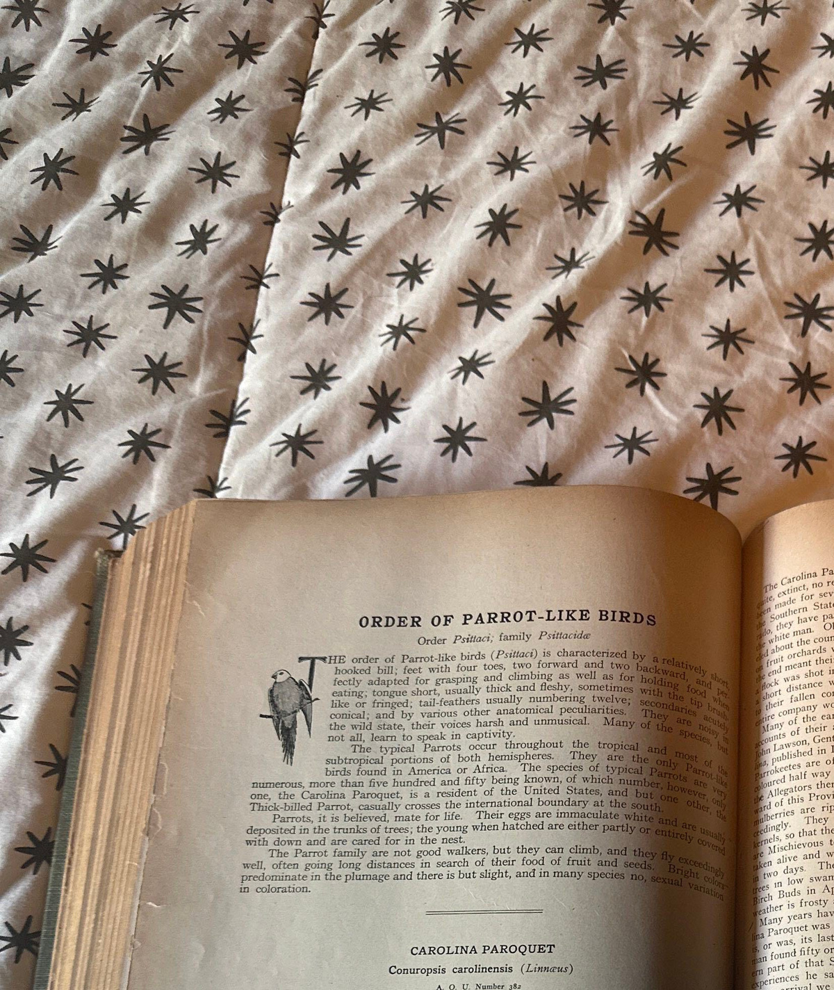 Word from the Smokies: Witcher's 2 decades transformed Discover Life in ...