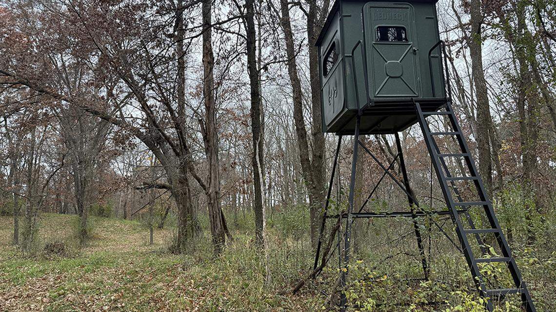 Trump administration orders rapid end to some hunting rules on federal lands