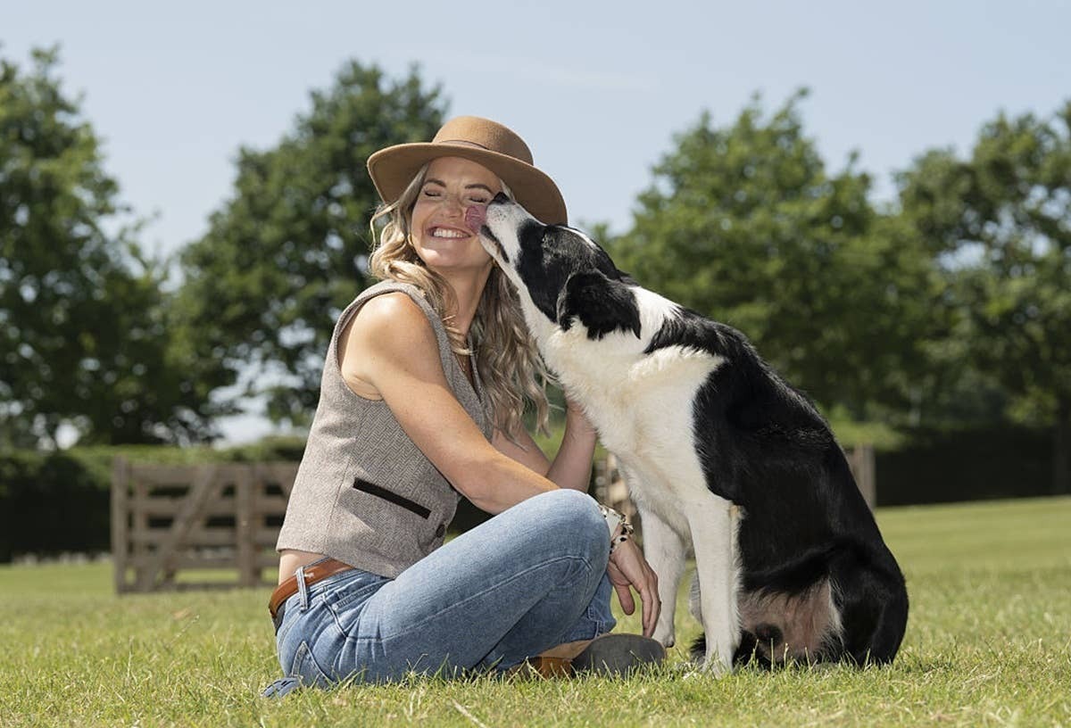 A dog kissing its owner and making sure she's alright.
