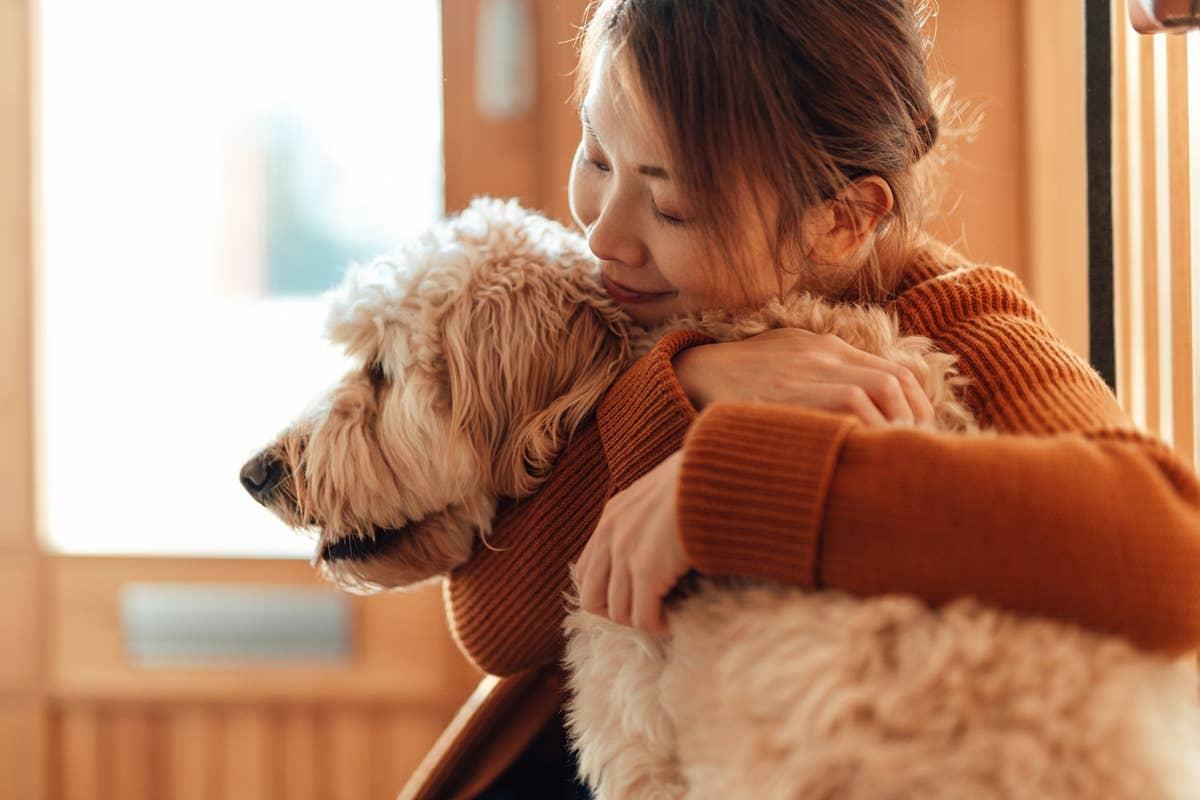  Many dogs are uncomfortable with hugs from their pet parents.