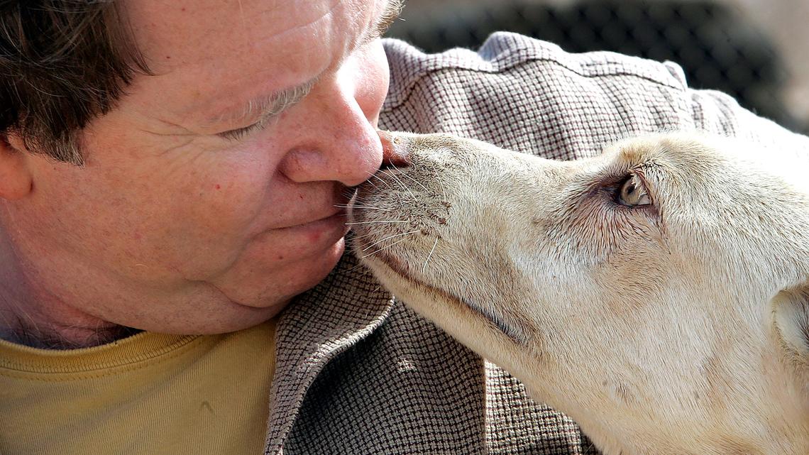 Former Actor, Animal Sanctuary Founder Arrested for Attempted Kidnapping 