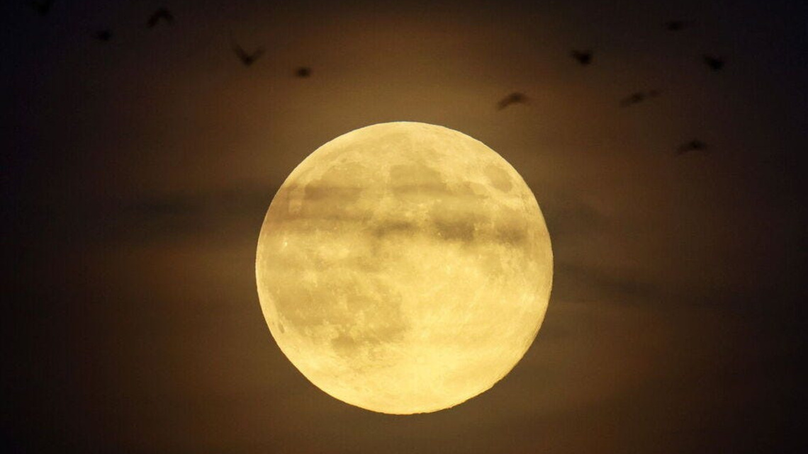 Tonight's Hunter's Moon will glow orange for a spooky October sky 