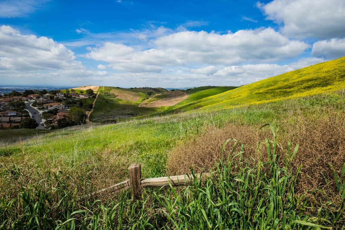  You'll find rattlesnakes in the rolling green hills of SoCal. 