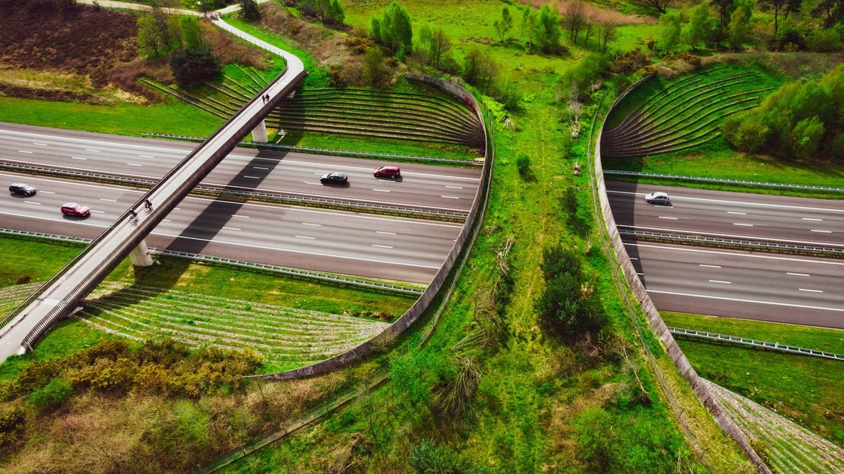 Aerial view of a wildlife bridge stretching over a highway. 
