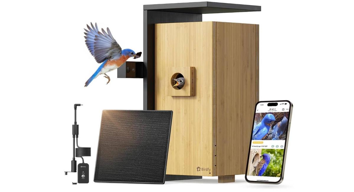  Image Via Amazon.