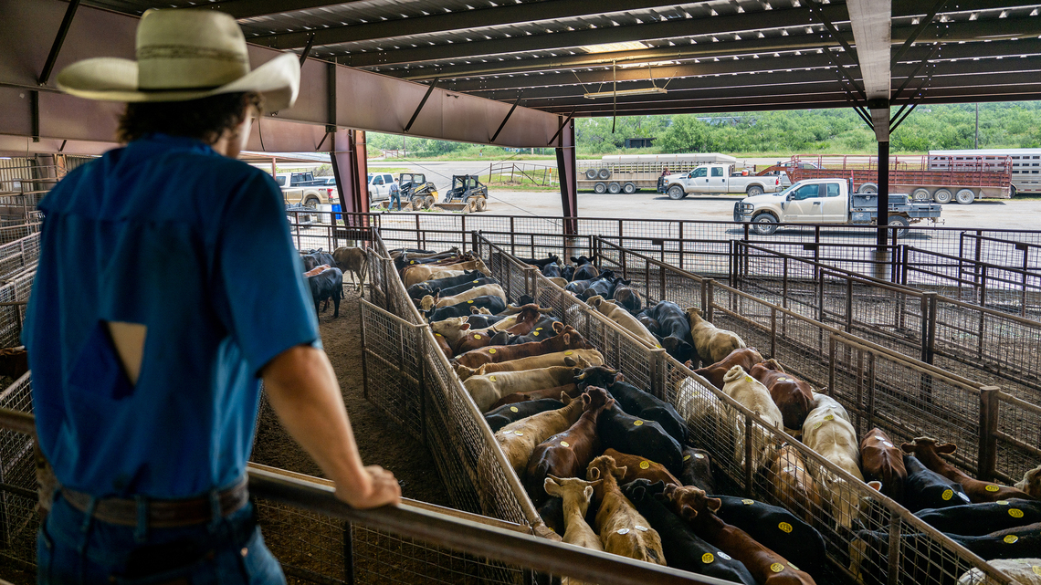 Trump announces plan to let farmers process their own food