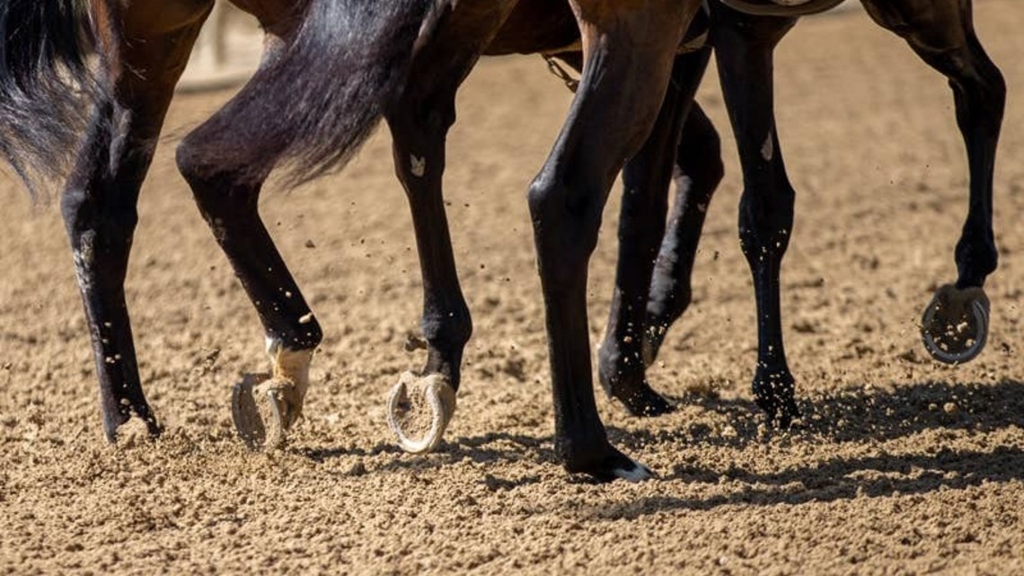 Kentucky Association Of Equine Practitioners Hosts Discussion On Bush Racing 
