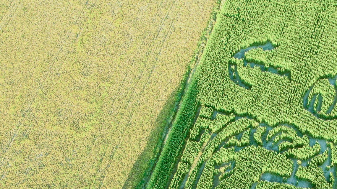 Charlie Kirk maze draws praise, criticism
