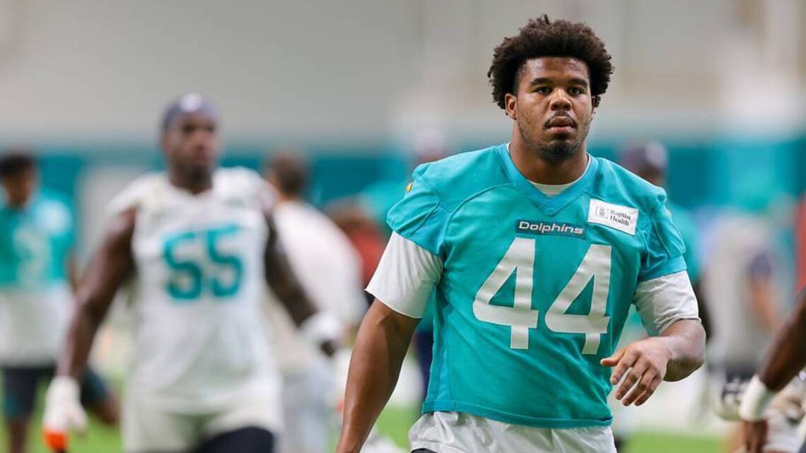 Proctor, Chop, Malik and the Other Dolphins Assessments at the First Break of Camp