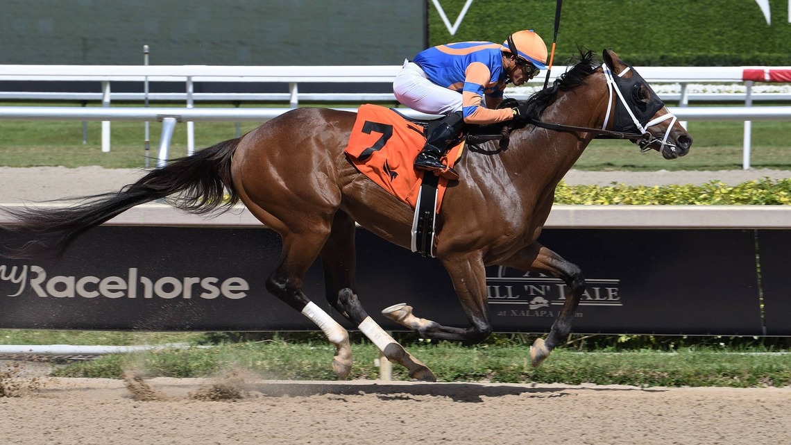 Racetrack Roundup: $3M Yearling Vibe Pointed To Overnight Handicap At Gulfstream Park 