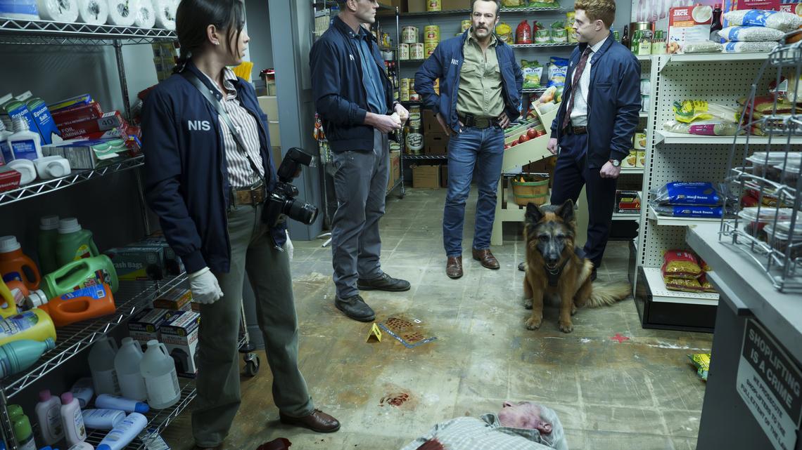 Did 'NCIS: Origins' Kill Off Gary Callahan the Dog After Shocking Stabbing? 