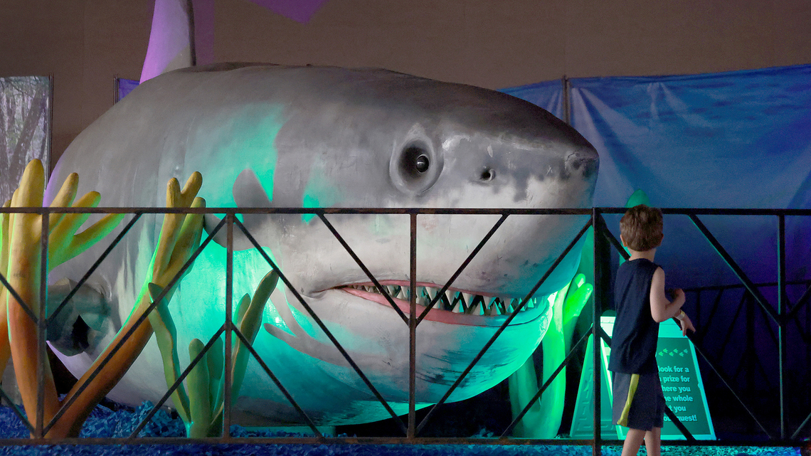 Maryland takes a bite out of history with its first state shark
