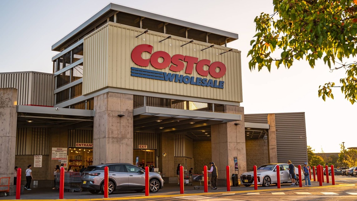 Costco's Adorable New Cat Tree Has a High Back Sofa-and Cats Are Never Coming Down 